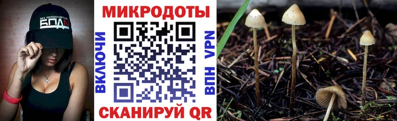 Галлюциногенные грибы мухоморы  Дальнереченск 