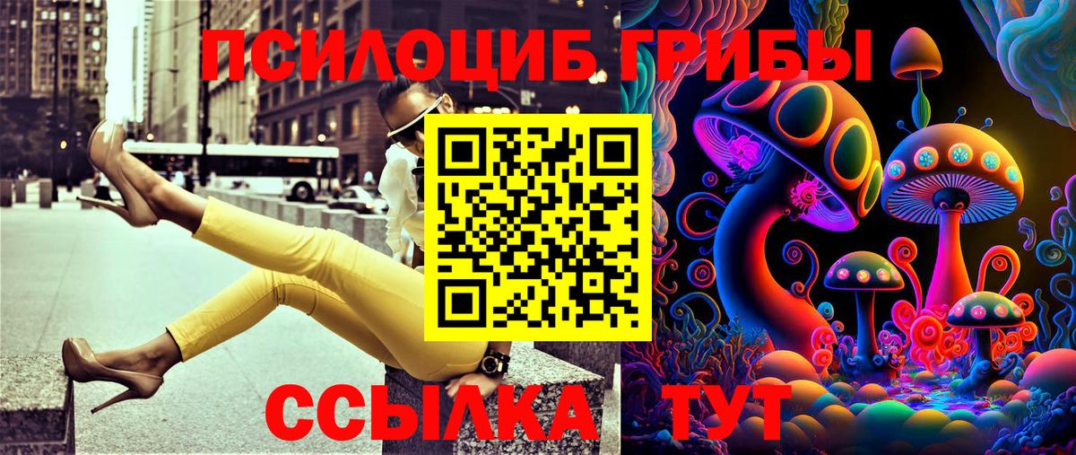 Псилоцибиновые грибы мухоморы  Псилоцибиновые грибы Psilocybe  Дальнереченск  Вход с VPN 